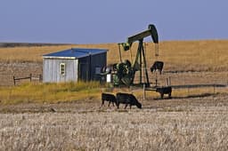 Цена нефти Brent поднялась выше $46 за баррель
